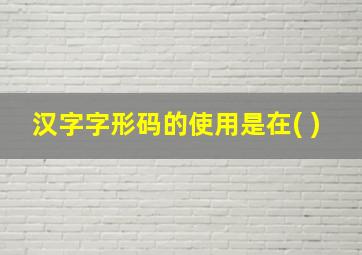 汉字字形码的使用是在( )